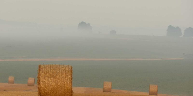 中医体质辨识与个性化养生：九种体质的调理方案，为养老社区健康管理赋能