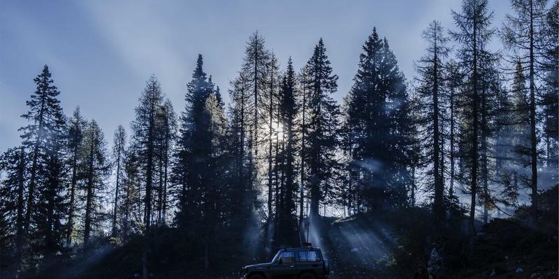 传统八段锦在现代养生中的应用：养老社区健康养生的呼吸与动作详解