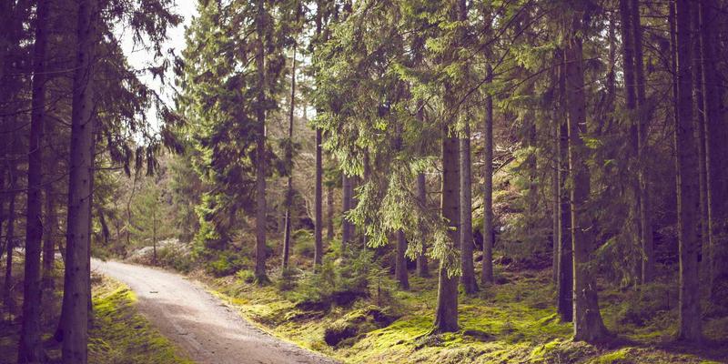 健康养生91：在亲和100养老社区，开启高品质晚年生活新范式