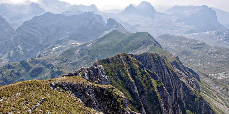 养老服务新视角：亲和100理念下的健康养生技巧全解析