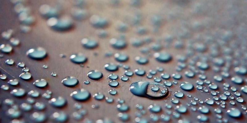 养老社区家庭健康空气管理：从植物选择到净化器使用的养生指导与老年护理指南