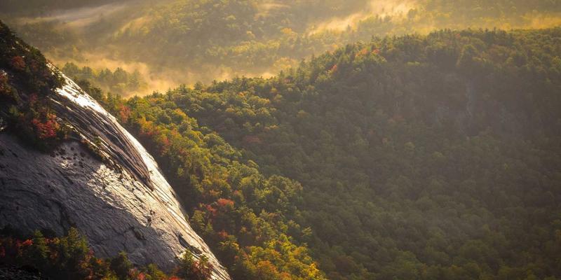 办公室人群的护眼养生指南：从蓝光防护到明目茶饮的全程策略 | 亲和100健康养生