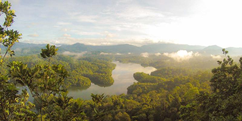 家庭园艺养生疗法：老年护理新选择，种植蔬菜花卉的身心双重养护指南