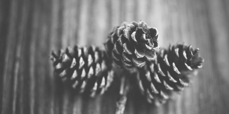 慢性炎症的隐形危害：健康管理与老年护理中的系统性抗炎策略