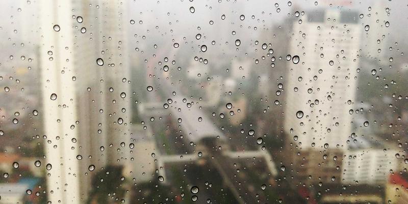 森林浴与自然康养：一份面向中老年的身心修复与养生指导