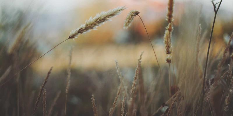 皮肤是健康的晴雨表：亲和100老年护理专家分享内调外养全方案