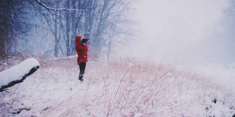 老年护理与养生指导：如何选择理想的养老社区