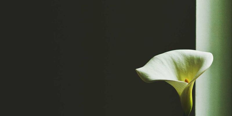 老年护理与养生指导：如何选择理想的养老社区实现健康晚年