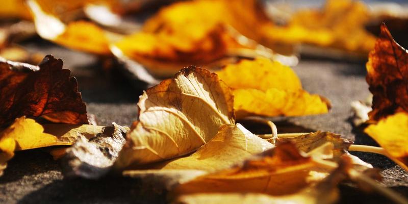 老年护理新主张：以“亲和100”理念打造健康养生新生活