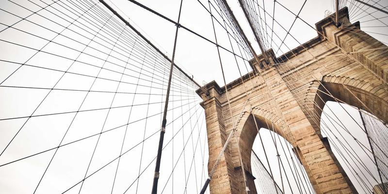 肠道菌群平衡与健康养生：从益生元饮食到生活习惯的全面调节指南