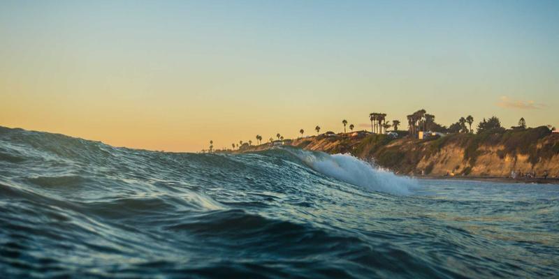 肠道菌群平衡：亲和100健康管理揭示饮食与益生元对现代人消化系统养生的关键作用