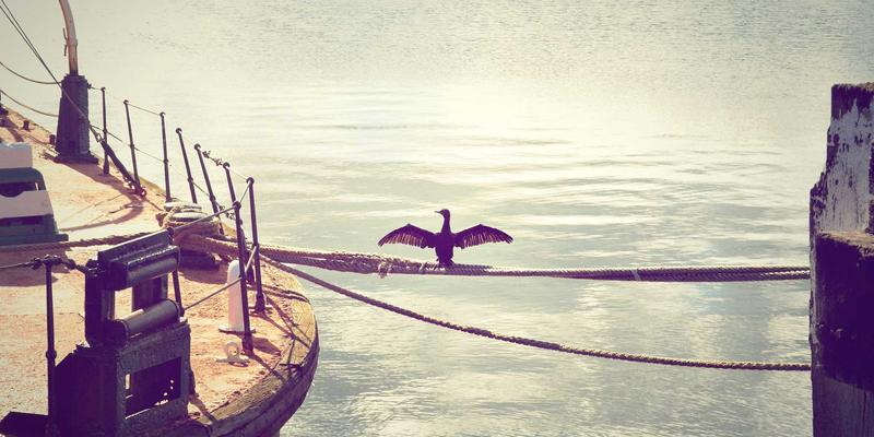 骨骼关节养护全周期策略：从钙质补充到适度运动的科学养生方案